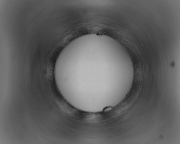 X0000094320274200711241813