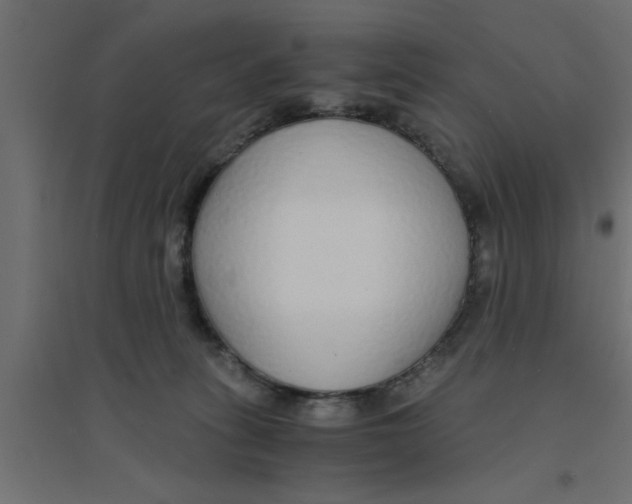 X0000094320275200711241813