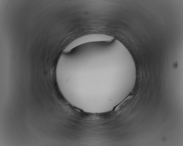 X0000094320276200711241814