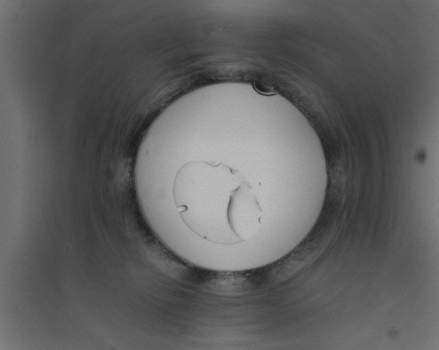 X0000094320278200711241814