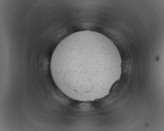 X0000094320279200711241814