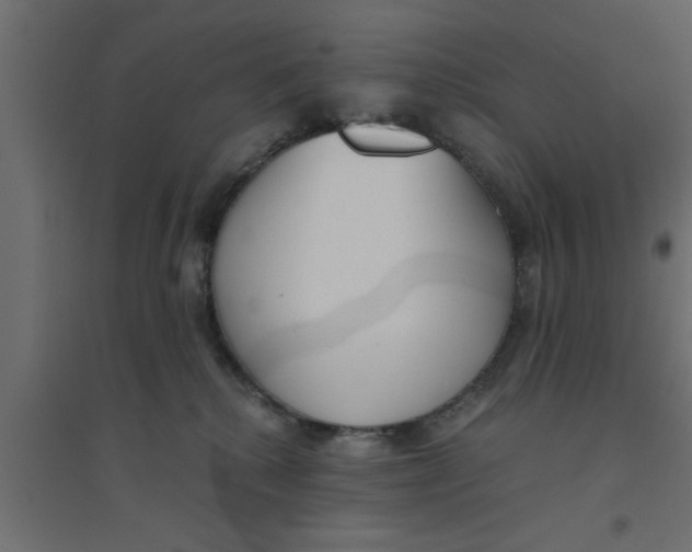 X0000094320280200711241814