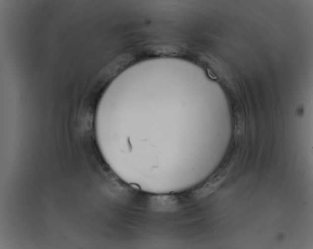 X0000094320281200711241814