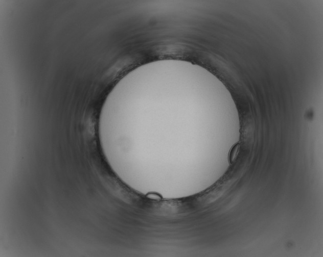 X0000094320282200711241814