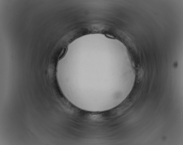 X0000094320283200711241814