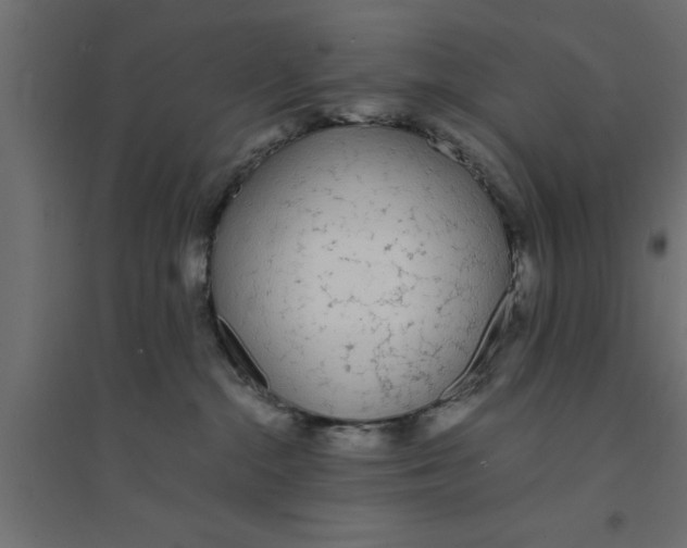 X0000094320284200711241814