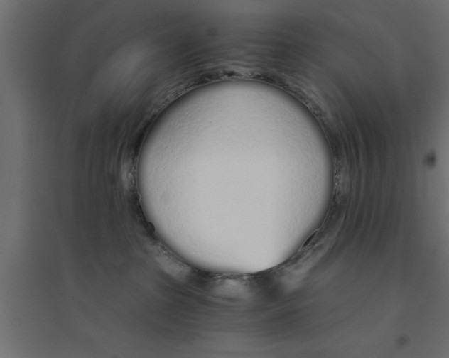 X0000094320285200711241814