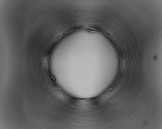 X0000094320286200711241814