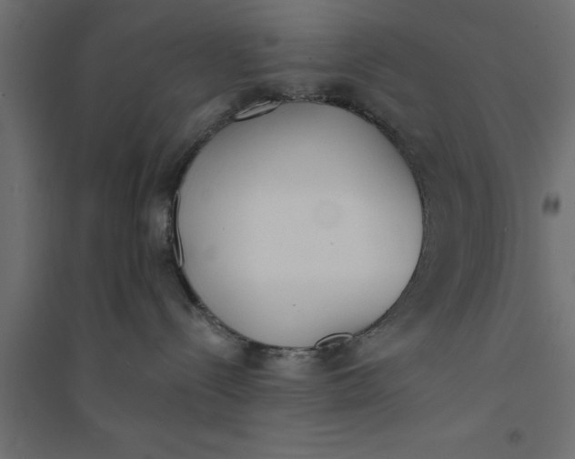 X0000094320288200711241814