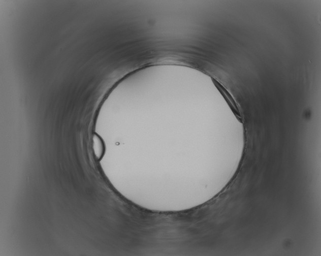 X0000094320289200711241813