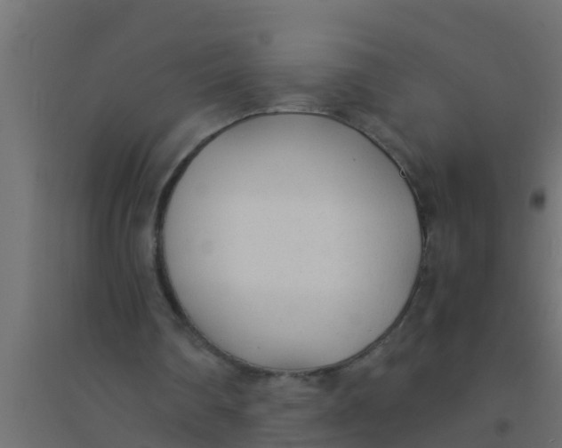X0000094320290200711241813