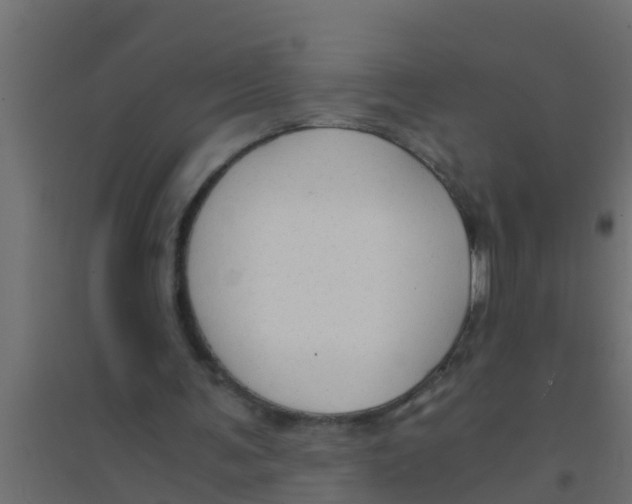 X0000094320291200711241813