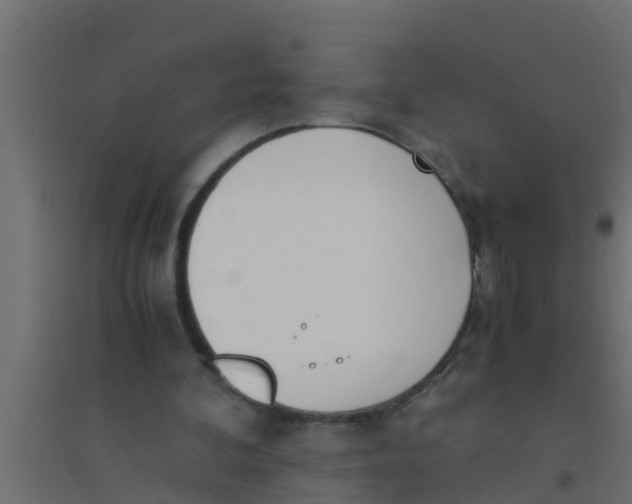 X0000094320292200711241813