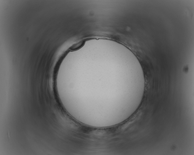 X0000094320294200711241813