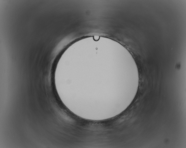 X0000094320296200711241813