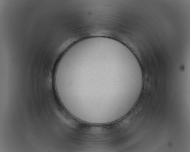 X0000094320298200711241813