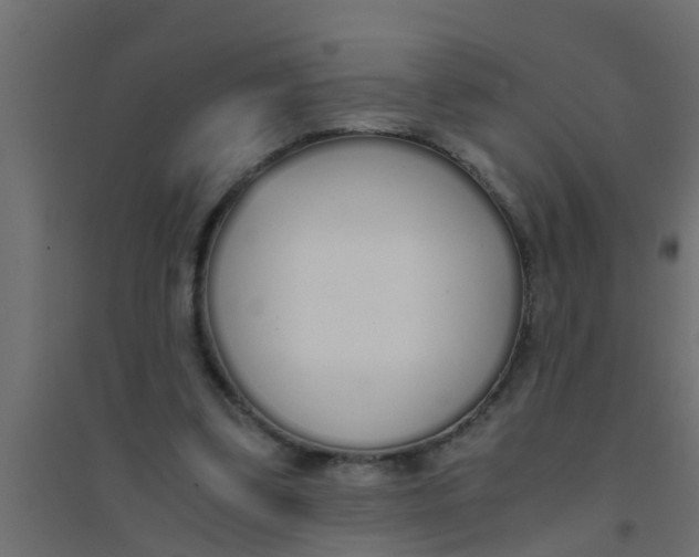X0000094320299200711241813