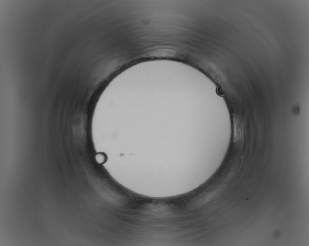 X0000094320300200711241813