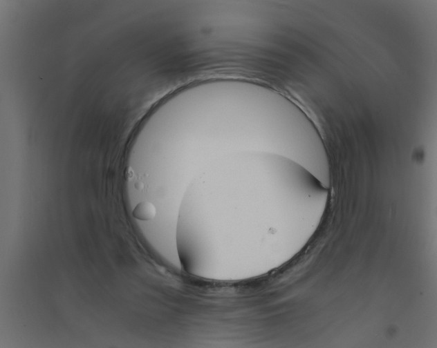 X0000094320301200711241813