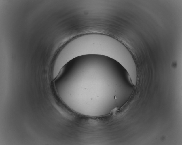 X0000094320302200711241813