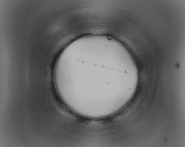 X0000094320303200711241813