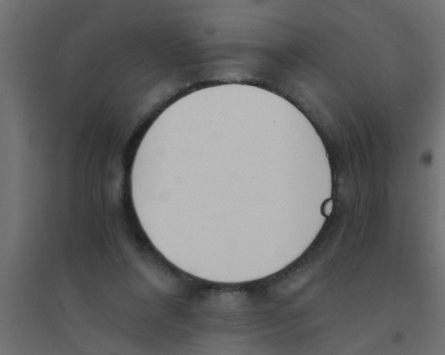 X0000094320304200711241813
