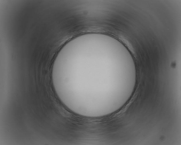 X0000094320305200711241813