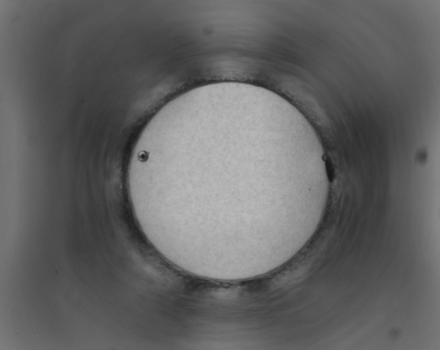 X0000094320306200711241813