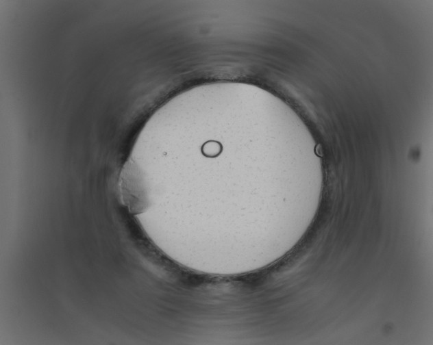 X0000094320307200711241813