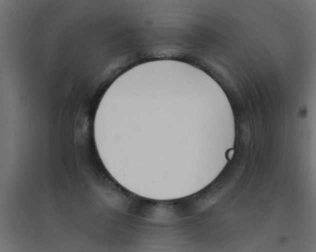X0000094320308200711241813