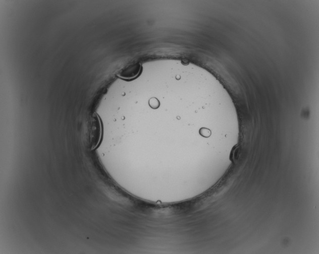 X0000094320309200711241813