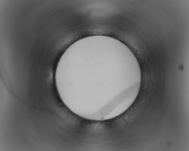X0000094320310200711241813