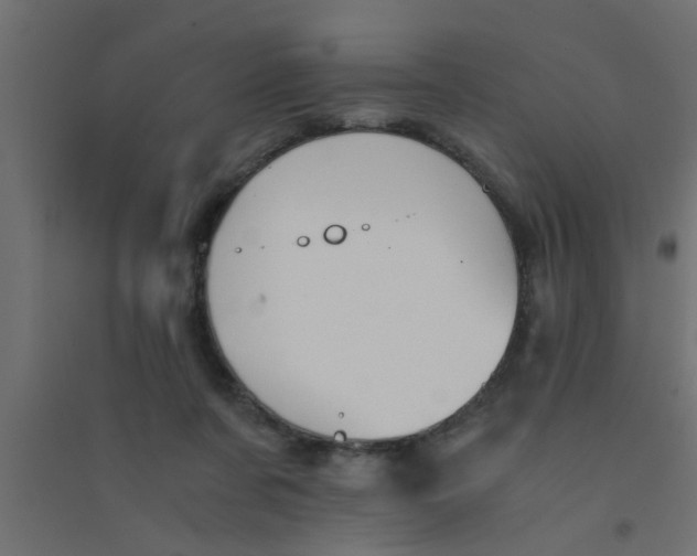 X0000094320311200711241813