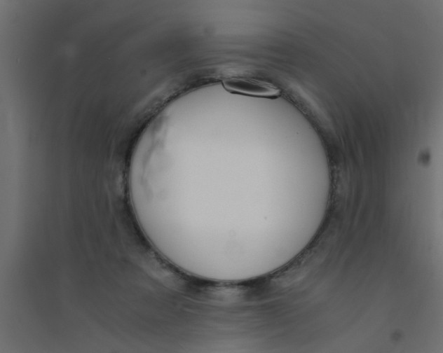 X0000094320313200711241813