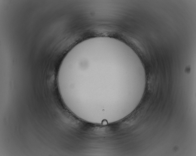 X0000094320314200711241813