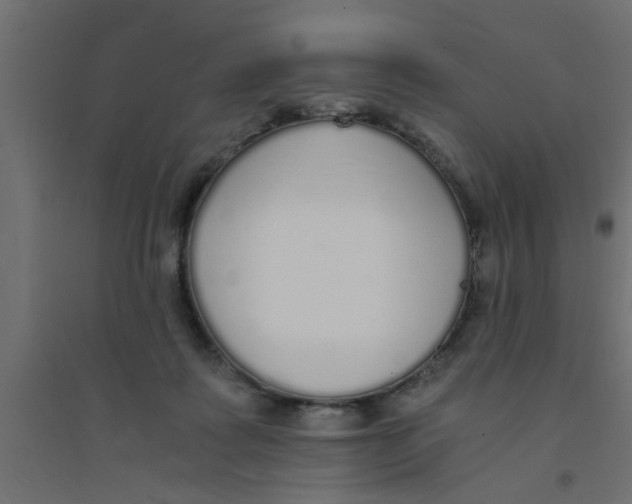 X0000094320315200711241813