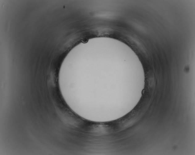 X0000094320316200711241813