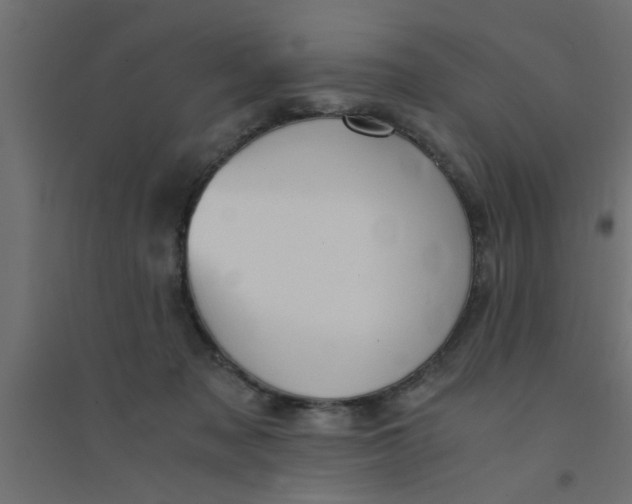 X0000094320317200711241813