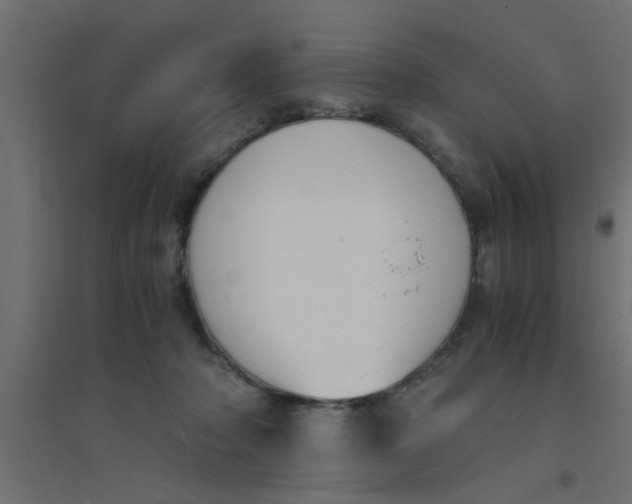 X0000094320318200711241813