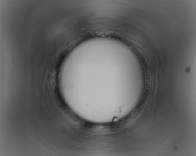 X0000094320319200711241813