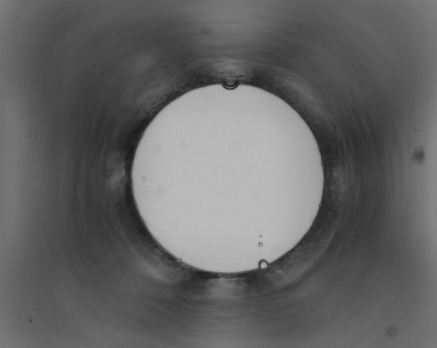 X0000094320320200711241813