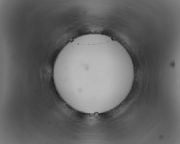 X0000094320321200711241813