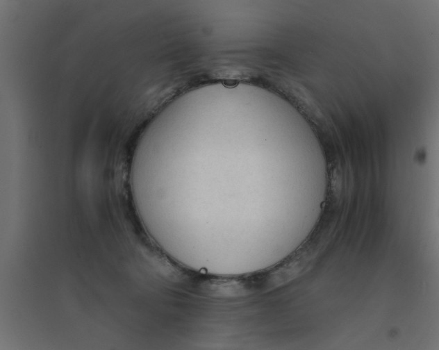 X0000094320322200711241813