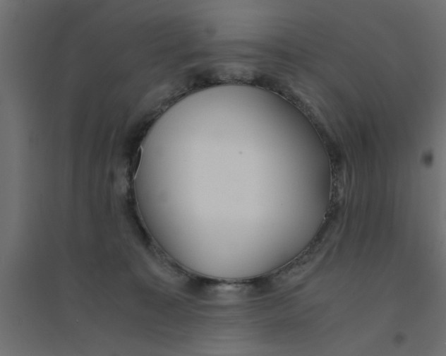 X0000094320323200711241813