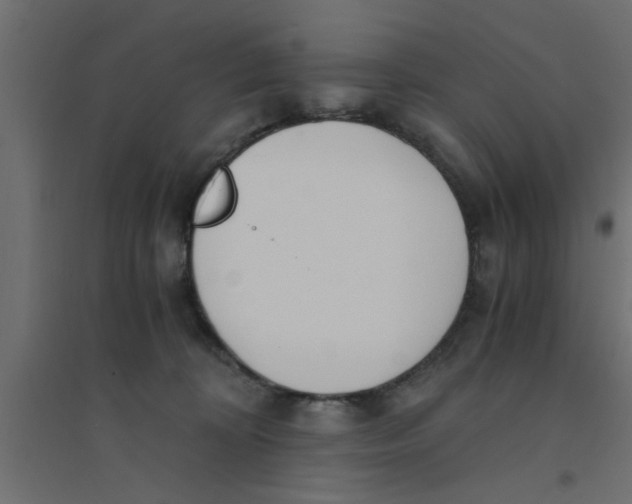 X0000094320324200711241813