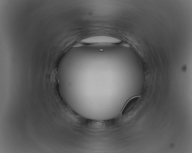 X0000094320325200711241813