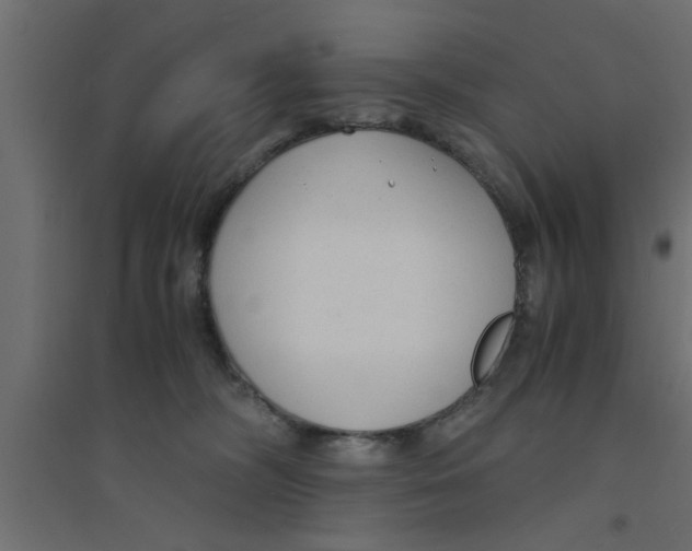 X0000094320326200711241812