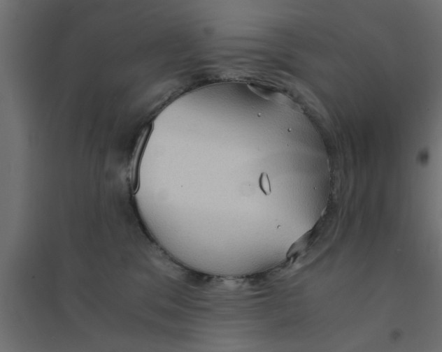X0000094320329200711241812