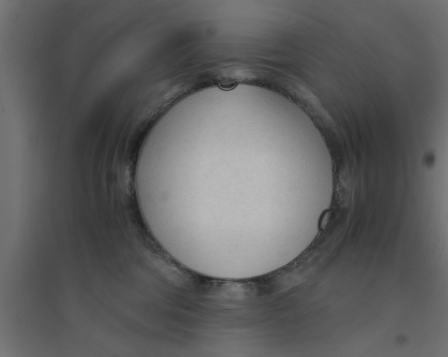 X0000094320330200711241812