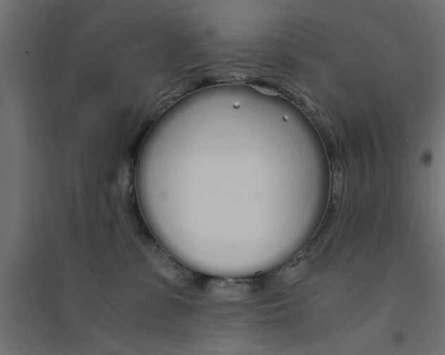 X0000094320331200711241812